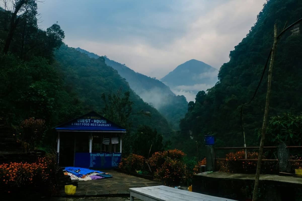 Deodar & Stone — 7