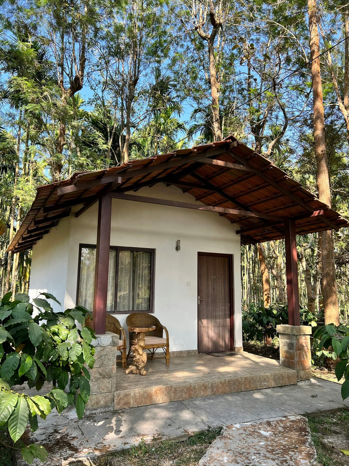 Deodar & Stone — 8