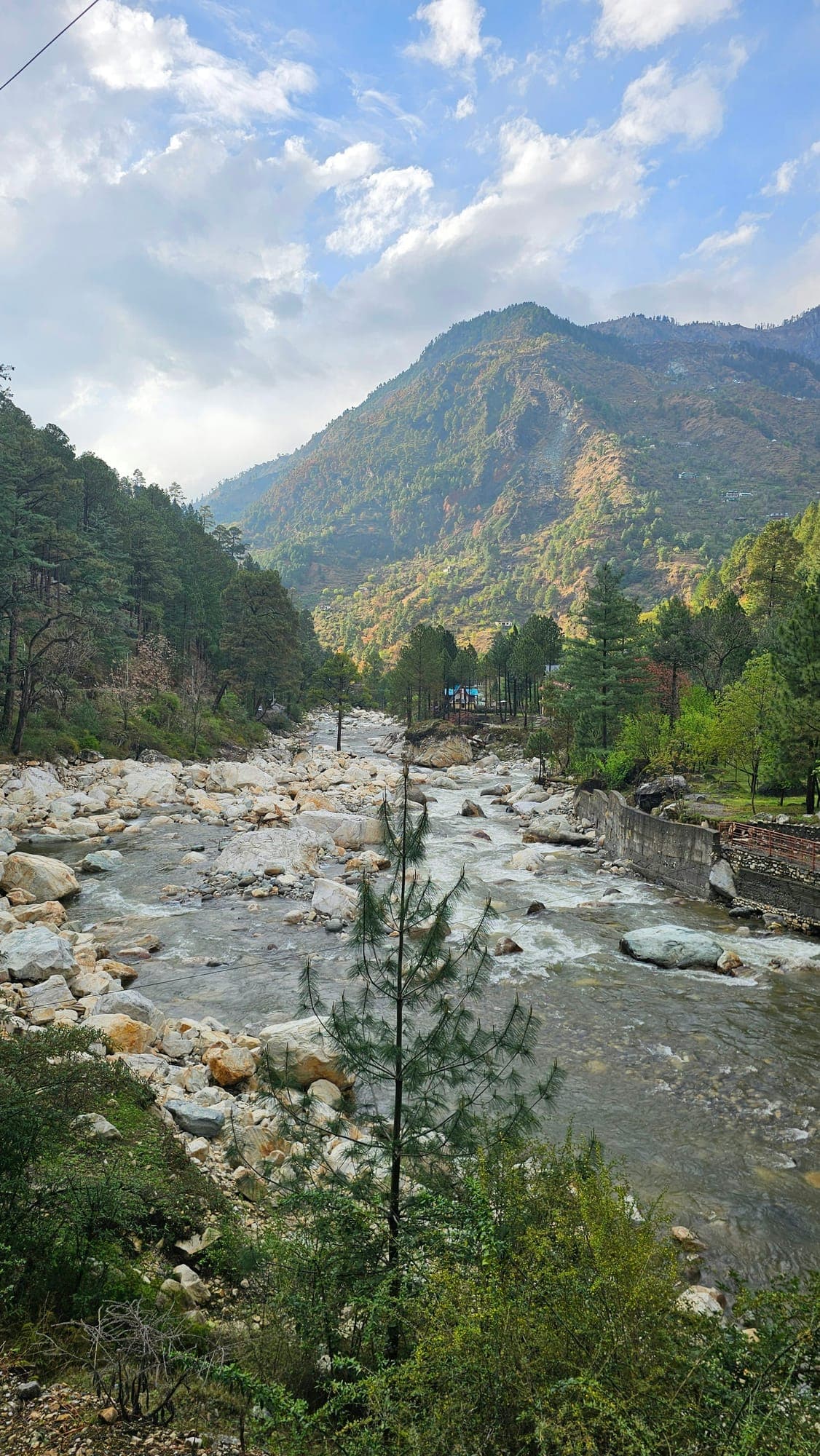 Deodar & Stone — 4
