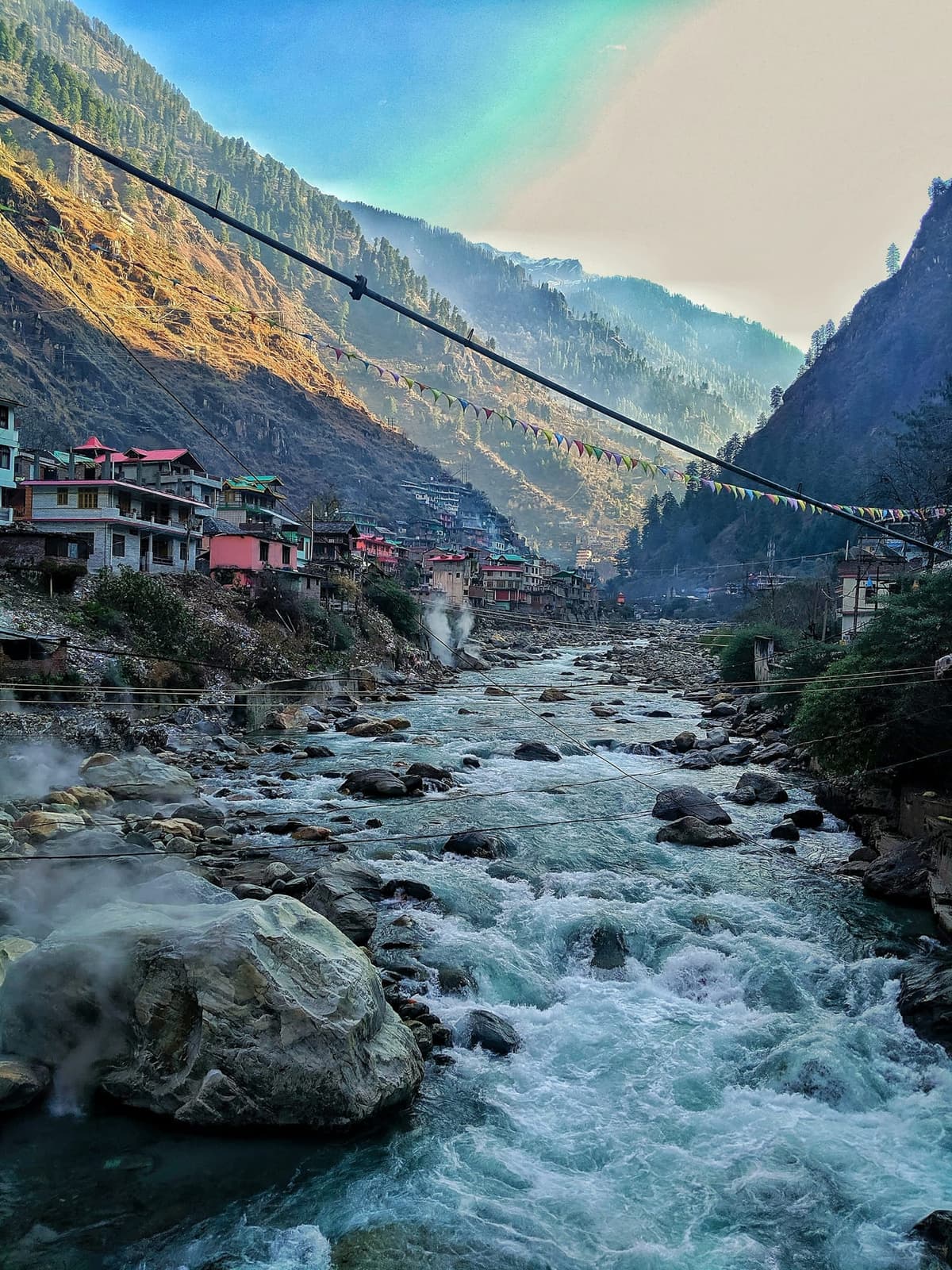 Deodar & Stone — 2